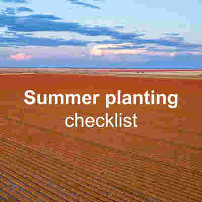 Three ways to prepare for summer planting – a grower’s checklist