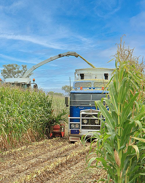 corn-truck-chaser-silage-500px.jpg
