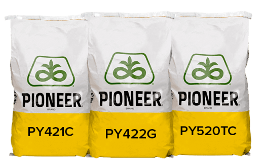 https://www.pioneerseeds.com.au/asset/1064/w517-h400.png