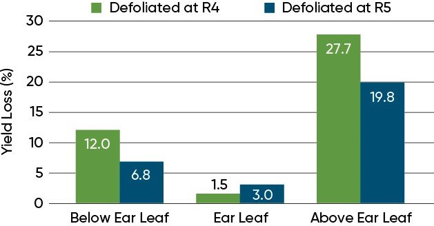 yield loss.jpg