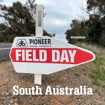 SA Canola Field Walks