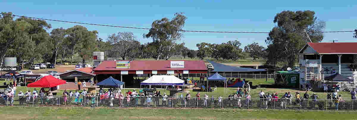 Pioneer Seeds helped make the Geurie Picnic Day a reality this year.
