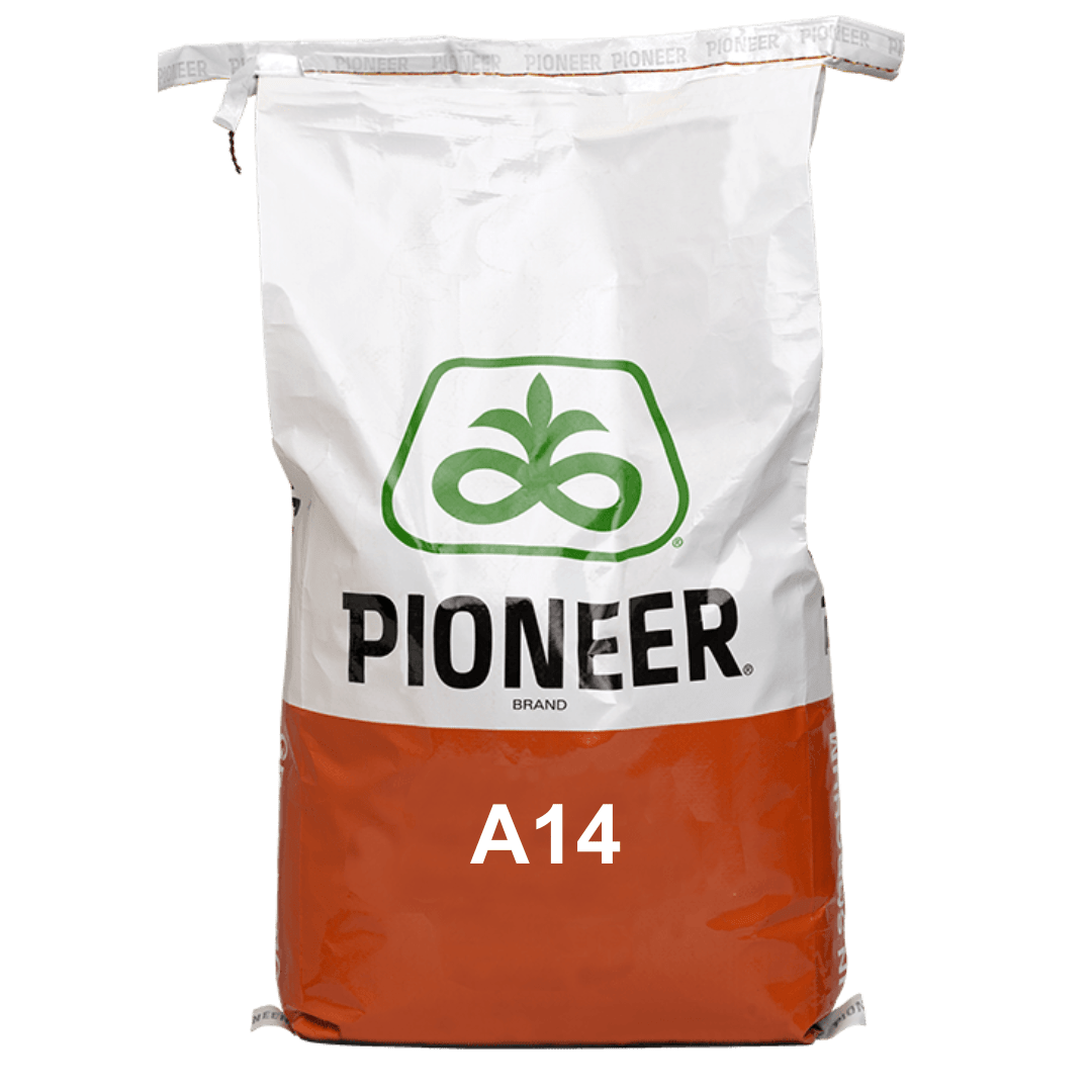A14 grain sorghum bag.png