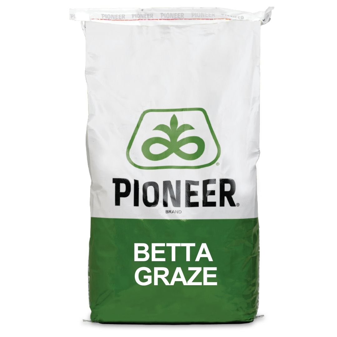 Betta Graze summer forage bag.jpg