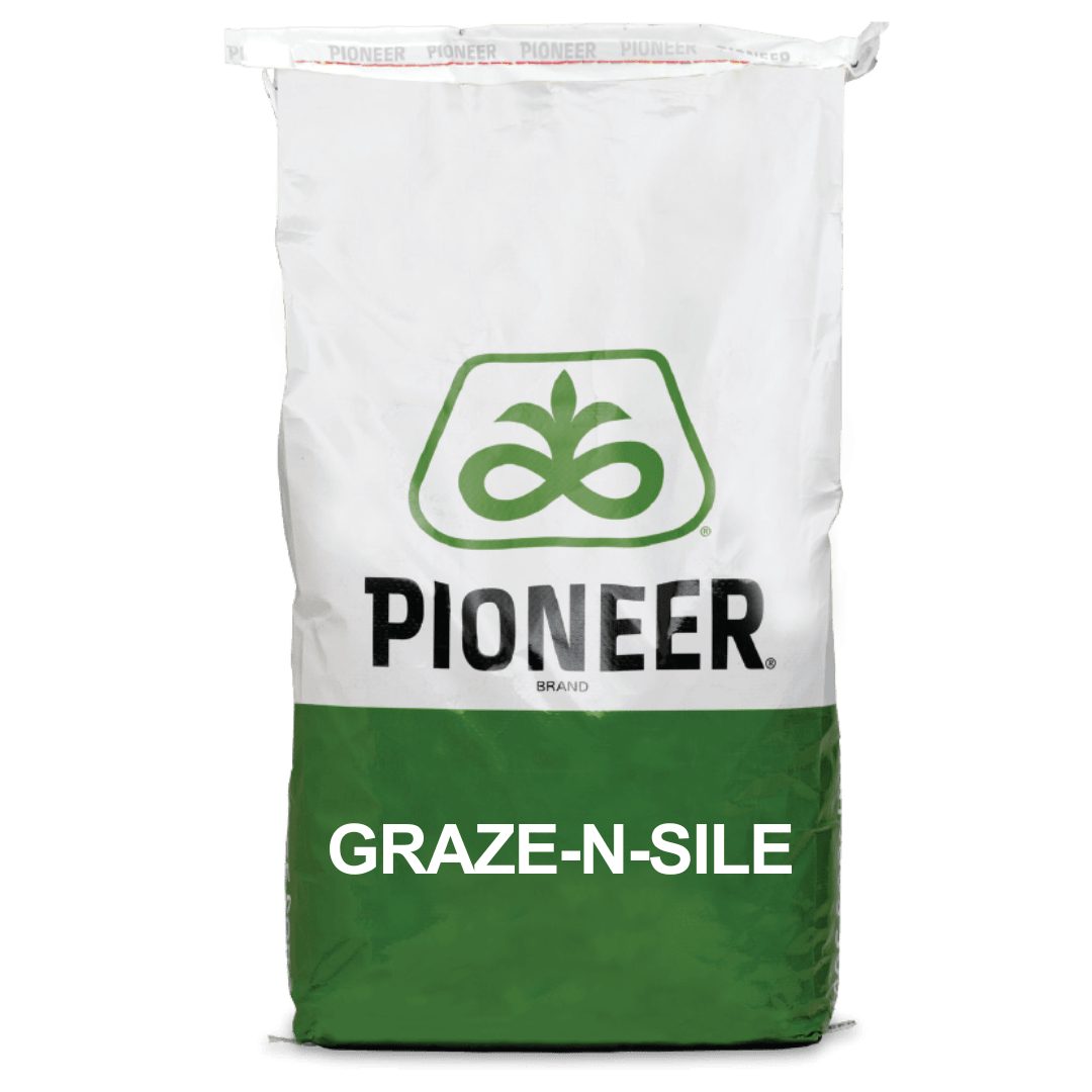 GrazeNSile summer forage bag.png