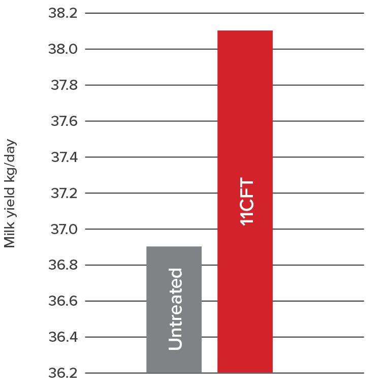 11CFT-chart.jpg