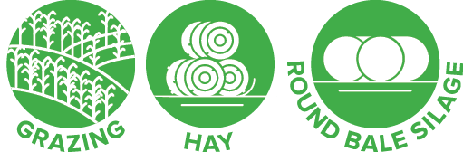 PIO24006 Icons_Betta Graze.png