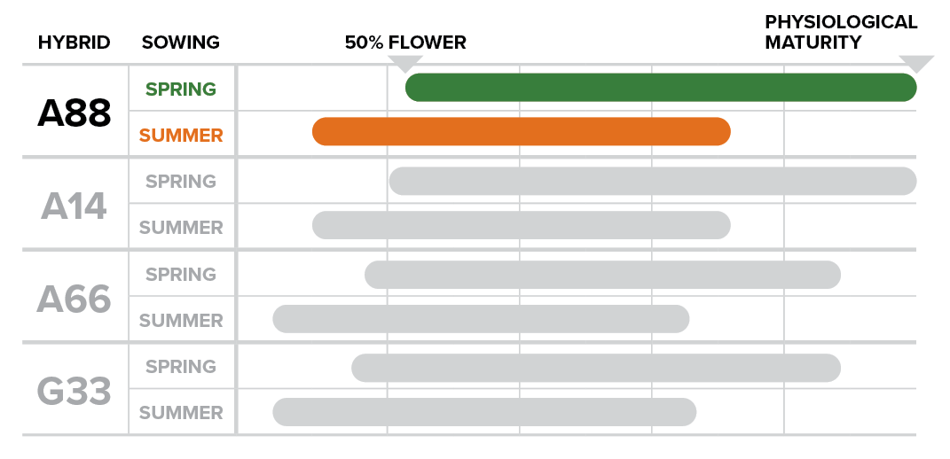 PIO24006 Phenology Table A88 no title.png