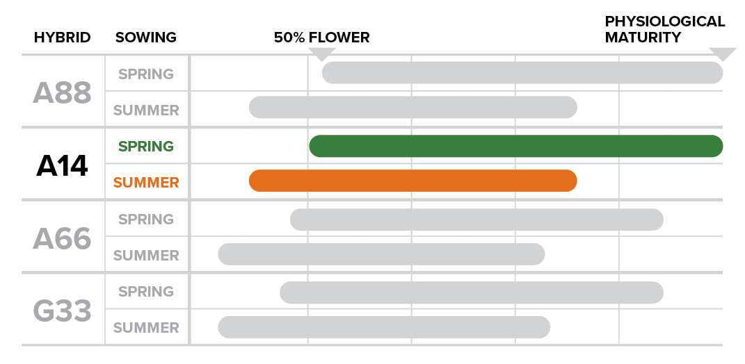 PIO24006 Phenology Table A14 no title.png