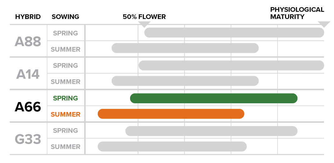 PIO24006 Phenology Table A66 no title.png