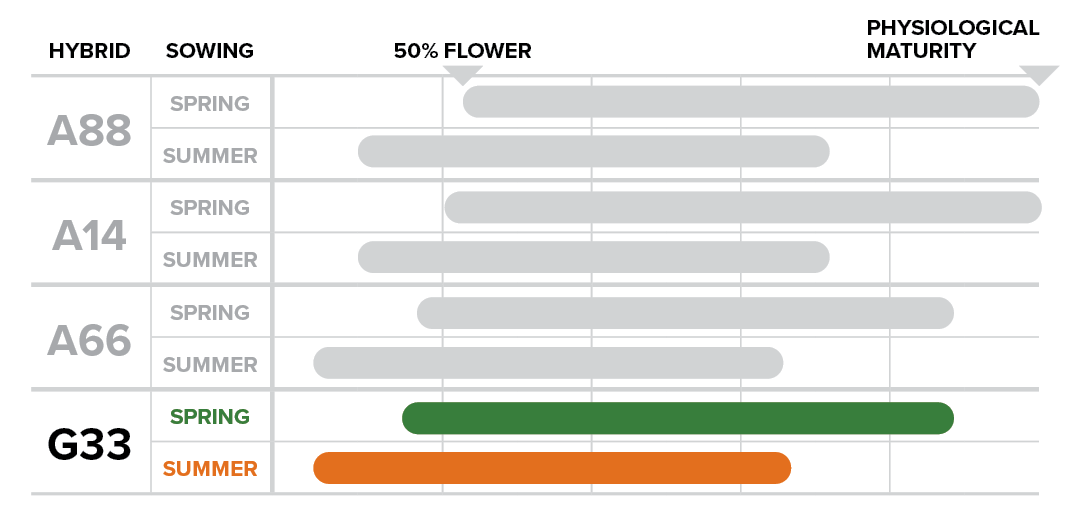 PIO24006 Phenology Table G33 no title.png