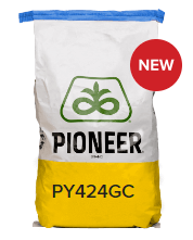 PY424GC Bag.png