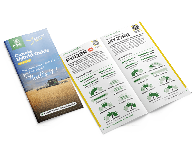 Canola cover image