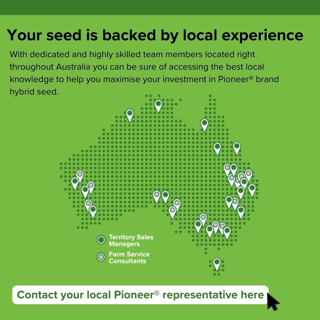 Your seed is backed by local experience square.jpg
