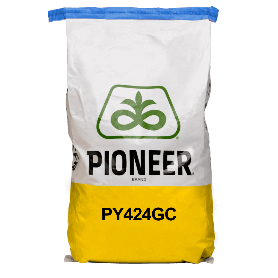 Canola bag PY424G.png
