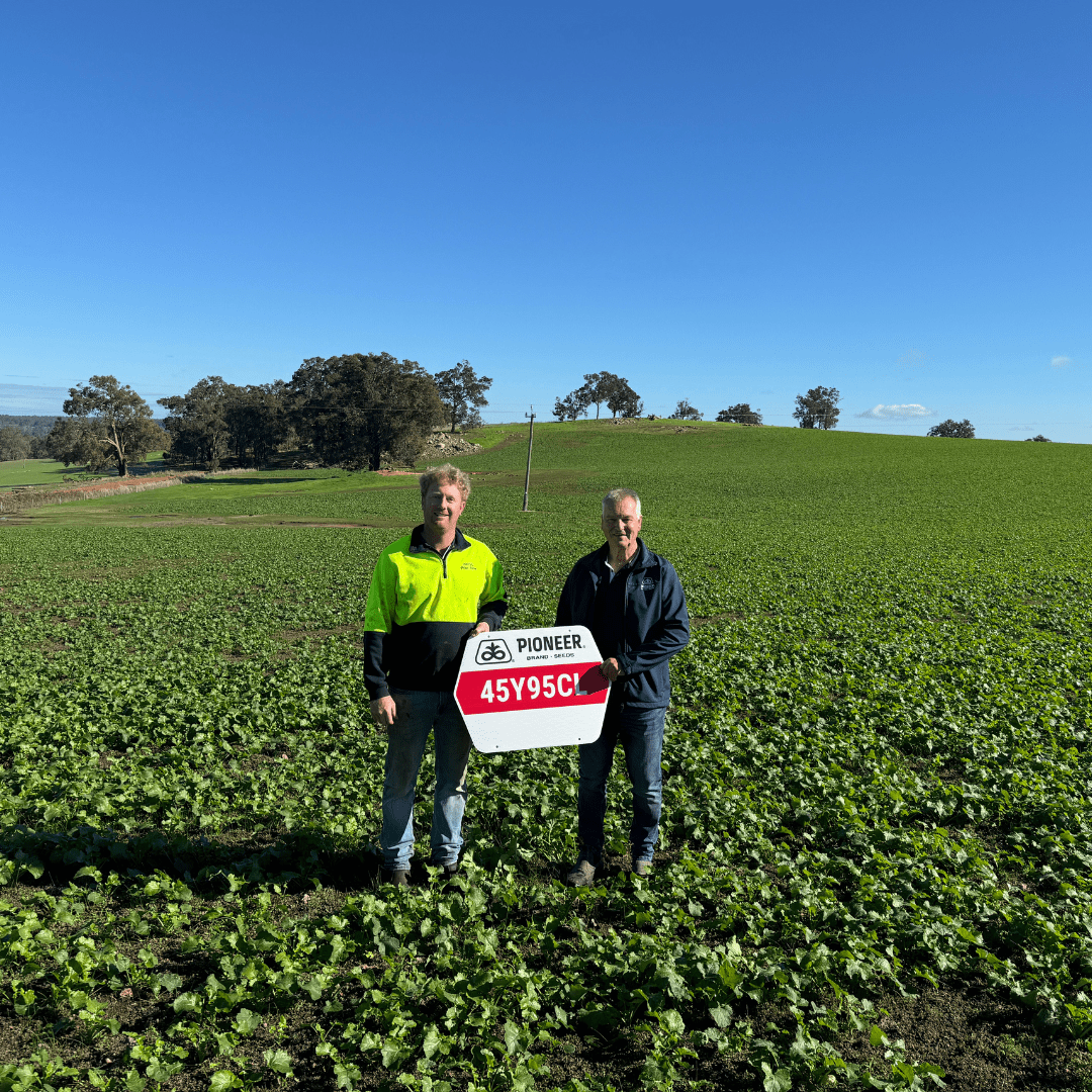 Wayde Robertson Canola .png