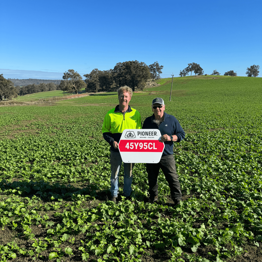 Wayde Robertson Canola Images (1).png