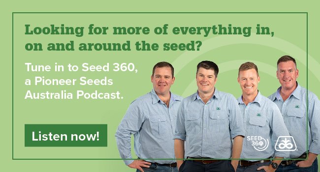 PIO25013 Podcast Launch Asset Email Banners - 04 FINAL.jpg