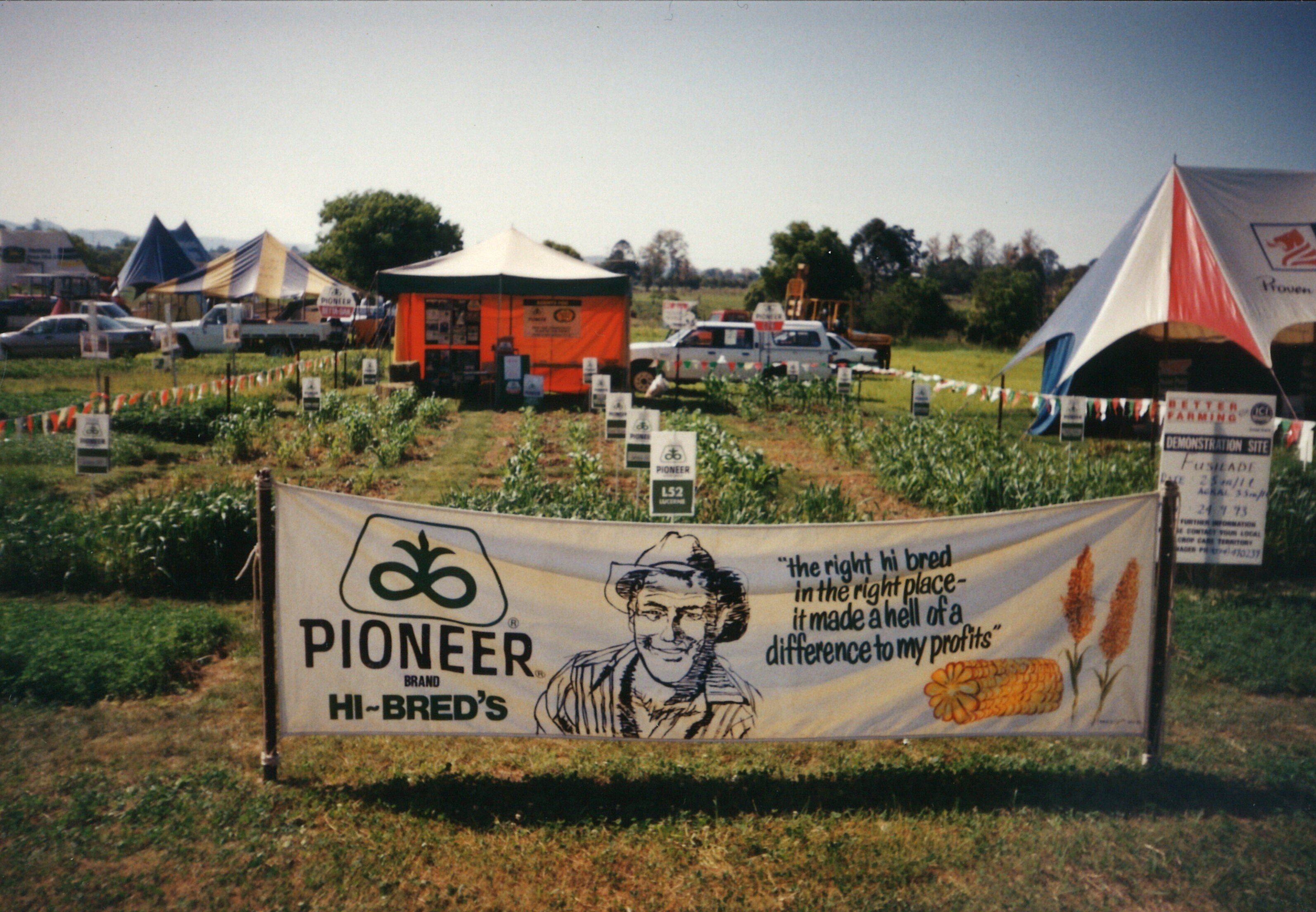 Pioneer Hi Bred
