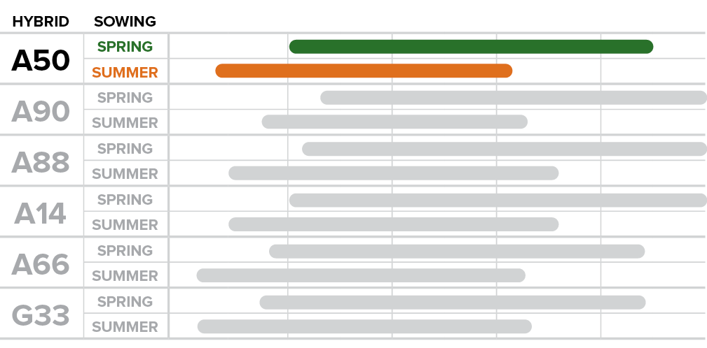 A50 - How sowing time affects phenological performance.png