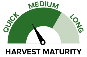 A90_-_Harvest_maturity[1].png