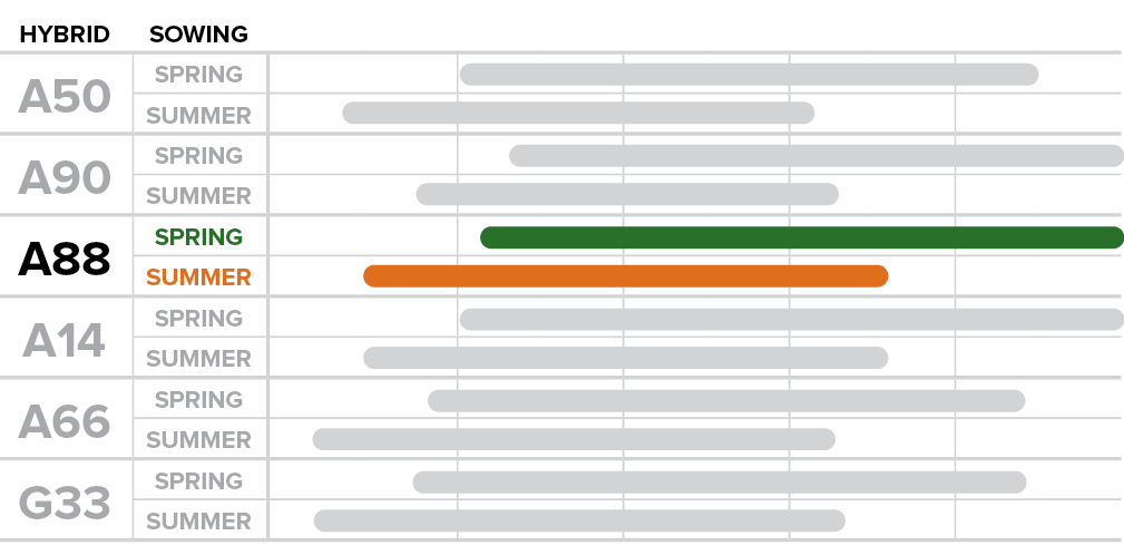 A88 - How sowing time affects phenological performance .png