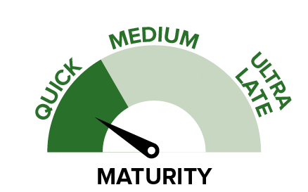SSS - Maturity.png
