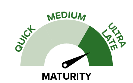 Mega Feed - Maturity.png
