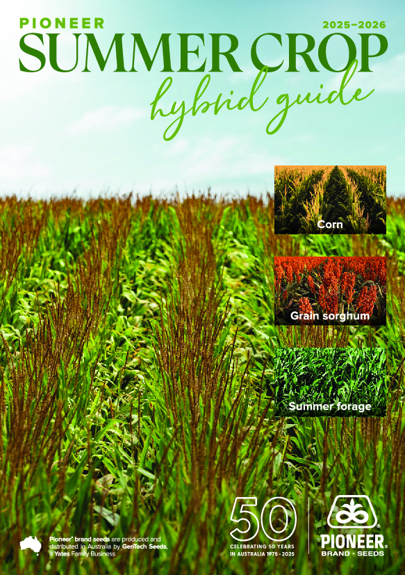 Corn cover image