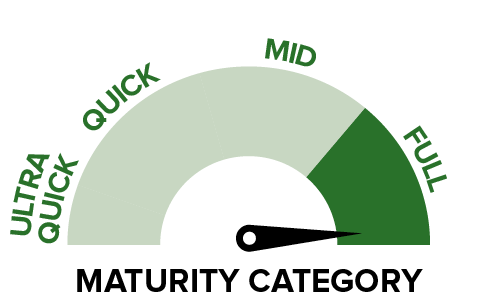 P2307 - Maturity category.png