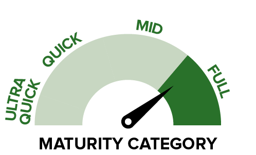 P1756 - Maturity category.png