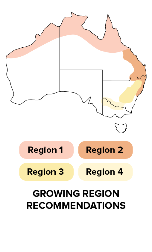 P1729 - Growing region recommendations.png