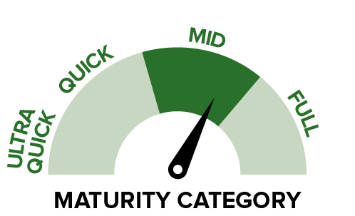 P1315 IT - Maturity catergory.png