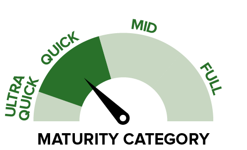 P9978 - Maturity category.png