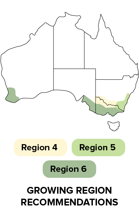 P9978 - Growing region recommendations.png