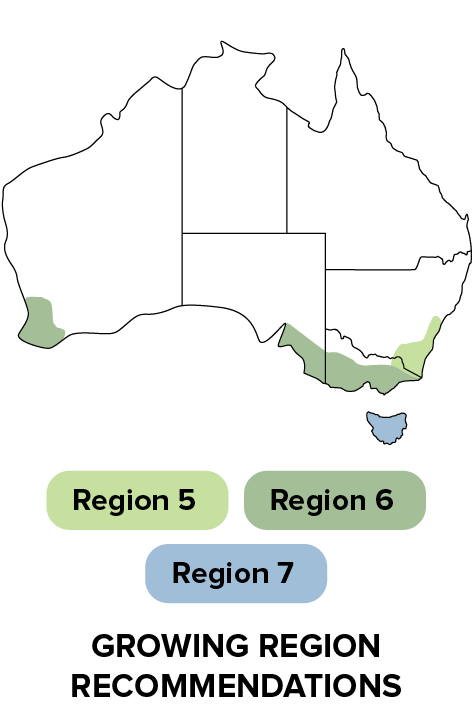 P92575 - Growing region recommendations.png