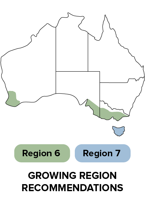 P8500 - Growing region recommendations.png