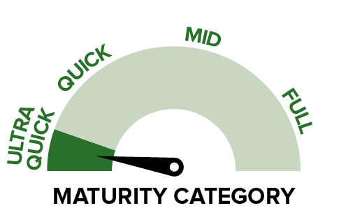 P8500 - Maturity category.png