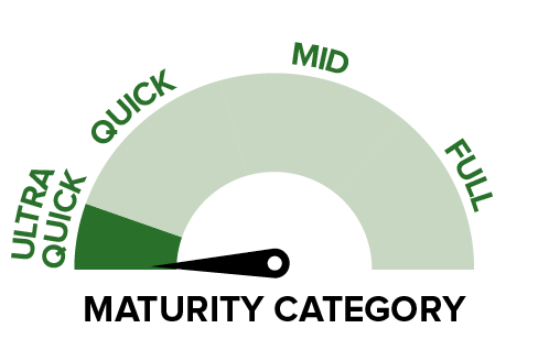 P7524 - Maturity category.png
