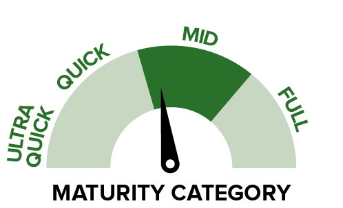 P07003 BMR - Maturing category.png