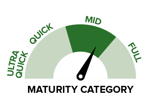 P13063 IT - Maturity category.png