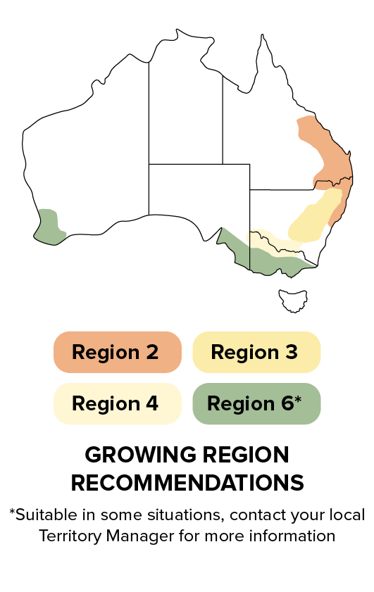 P13063 IT - Growing region recommendations.png