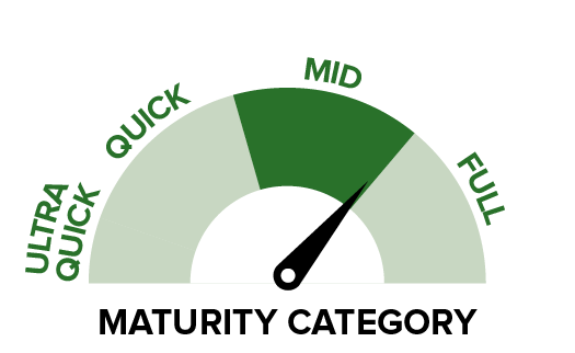 P15744 IT - Maturity category.png