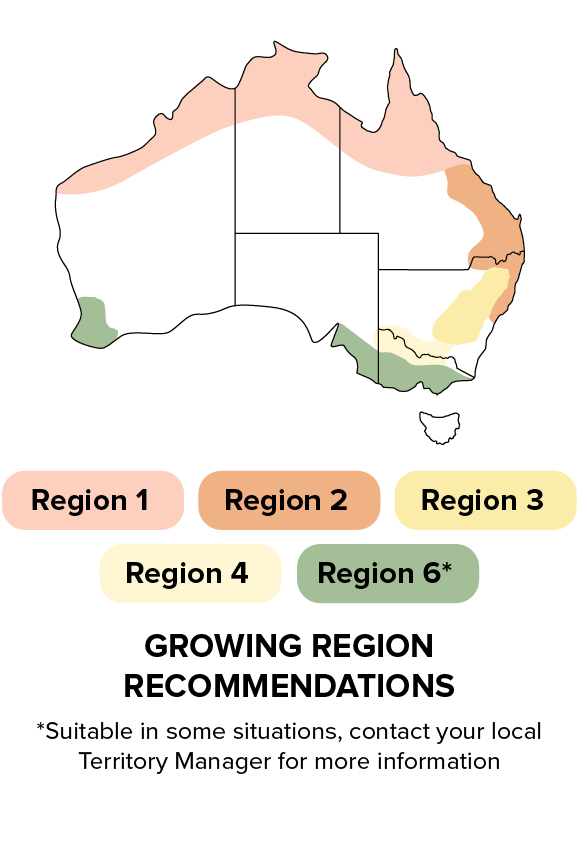 P15744 IT - Growing region recommendations.png