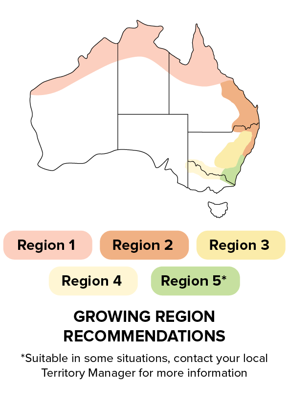 P17822 IT - Growing region recommendations.png
