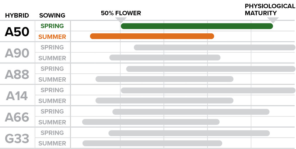 A50 - How sowing time affects phenological performance.png