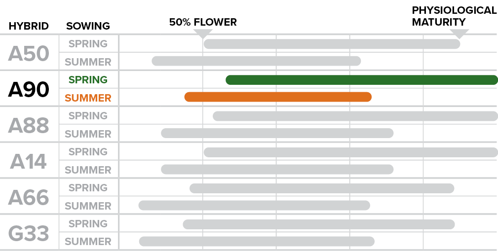 A90 - How sowing time affects phenological performance.png