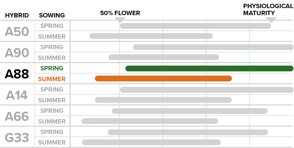 A88 - How sowing time affects phenological performance.png