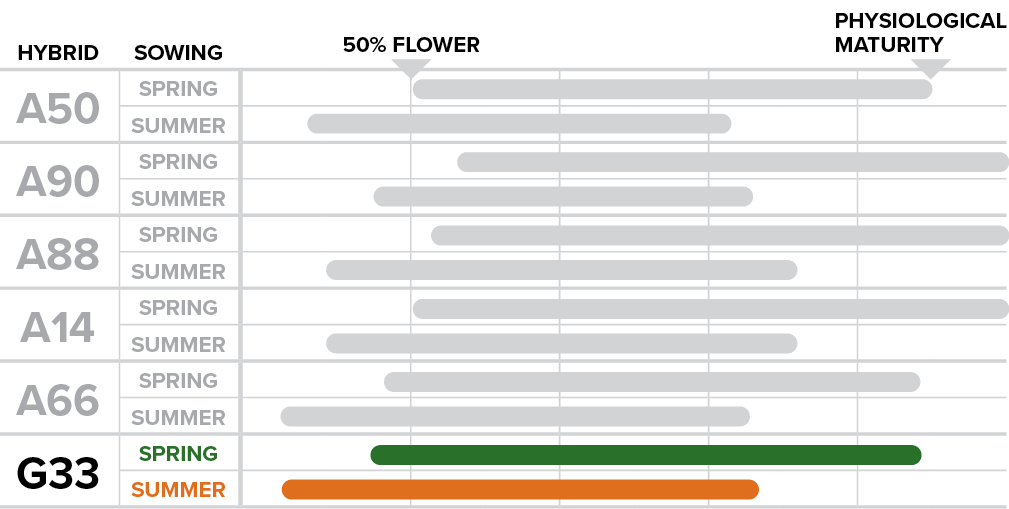 G33 - How sowing time affects phenological performance.png