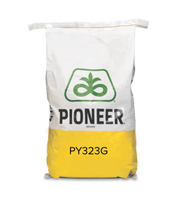 PY323G bag (253 x 293 px).png